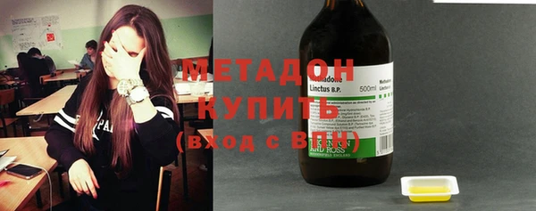 прущие грибы Вязники
