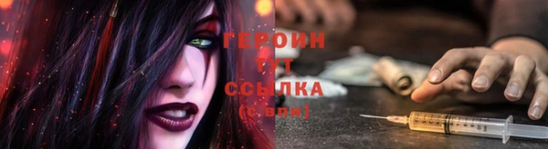 прущие грибы Вязники