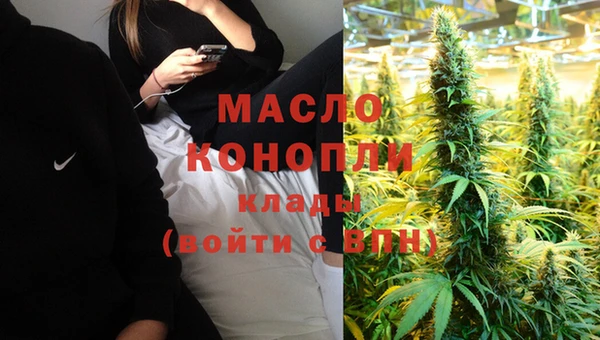 амф Горняк