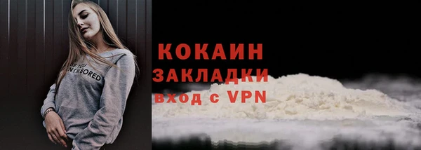 прущие грибы Вязники