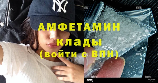 прущие грибы Вязники