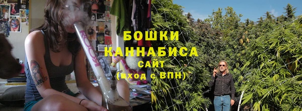 прущие грибы Вязники