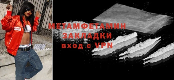 прущие грибы Вязники