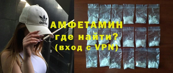амф Горняк