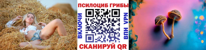 Галлюциногенные грибы ЛСД  Гусев 